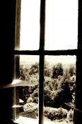 007_TR-1055.jpg