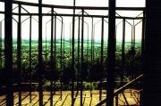 011_TR-1059.jpg