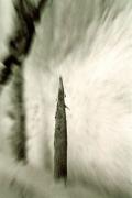 004_TR-1164.jpg